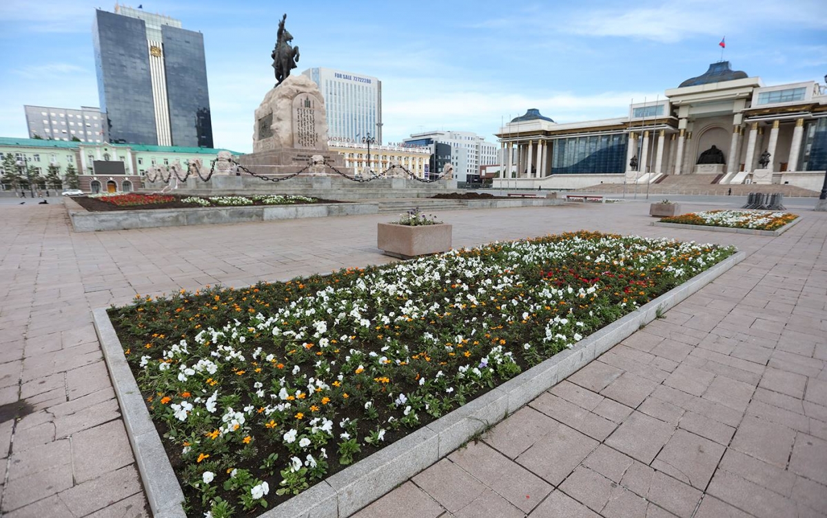 Фото мэдээ: Улаанбаатар хотын 24 байршилд цэцэг суулгаж байна