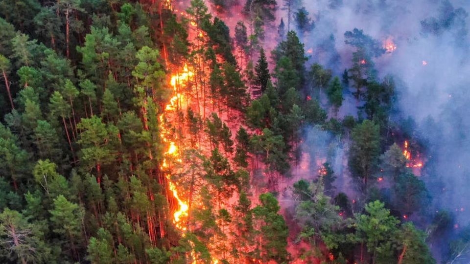 Он гарсаар 25 удаагийн ой, хээрийн гал түймэр бүртгэгджээ