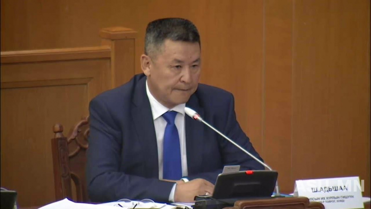 Ш.Адьшаа: Оюутолгой Монгол Улсын хуулийг үл тоосоор байх уу