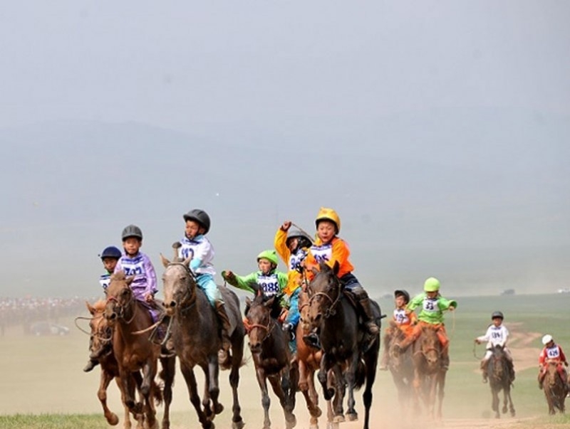 Хөвсгөл аймгийн Галт сумын Б.Отгонсэлэнгийн хурдан саарал морь торгон жолоогоо өргүүллээ