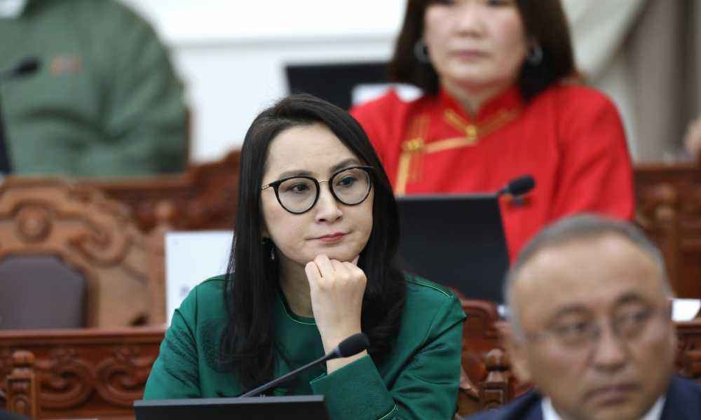 Ж.Баярмаа: Та өөрөө өөрийгөө шалгах тухай асуудлыг оруулж ирж байгаа нь ашиг сонирхлын зөрчил биш үү