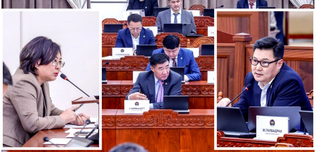 “Эрүүл мэндийн даатгалын газрыг яамны харьяанаас яаралтай гаргах хэрэгтэй”