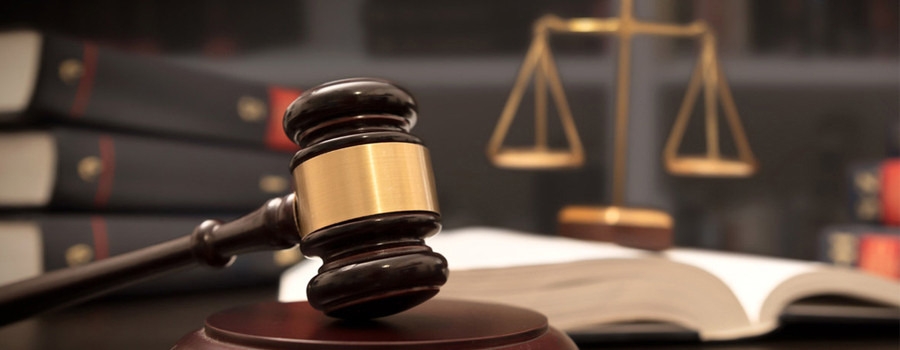 Бид эдийн засгийн эрх чөлөөгүй гэж үү?