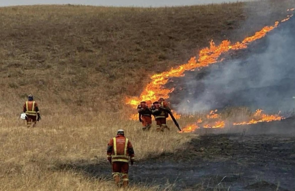 Дорнод аймагт гарсан хээрийн түймэрт 8000 га газар өртжээ